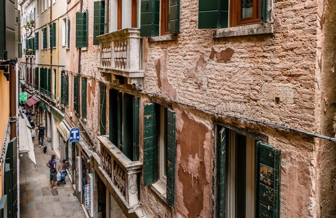 San Marco Joy By Lionhost-1